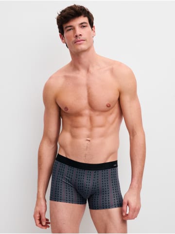Calida New Boxer in anthrazit