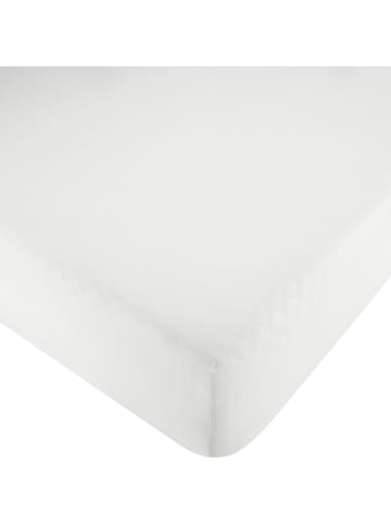 Erwin Müller Renforcé Spannbettlaken Würzburg in weiß - kochfest