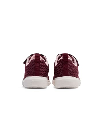 Hummel Hummel Klettverschluss Sneaker Actus Ml Lebensstil Kinder in VINEYARD WINE