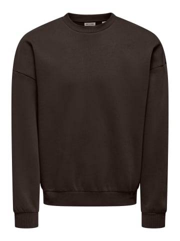 ONLY & SONS Sweatshirt in Coffee Bean