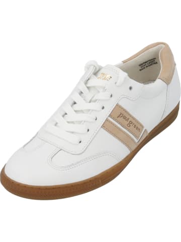 Paul Green Schnürschuhe in white/sabbia