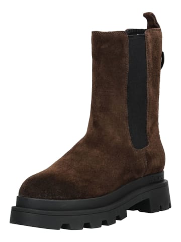 BLAUER USA Stiefelette in Dunkelbraun
