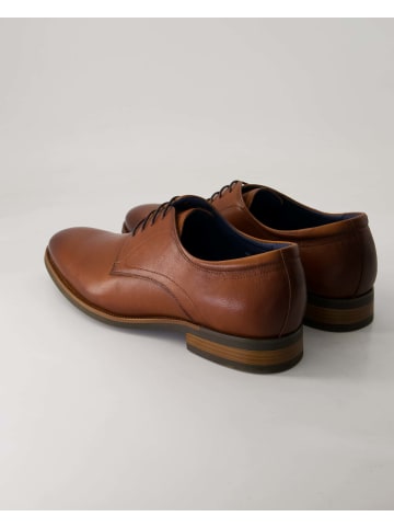 Daniel Kenneth Anzug- & Businessschuhe in Braun