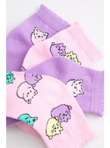 Coccodrillo Socken in bunt