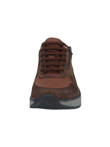 Solidus Schnürschuhe Ken Weite H+K in Braun