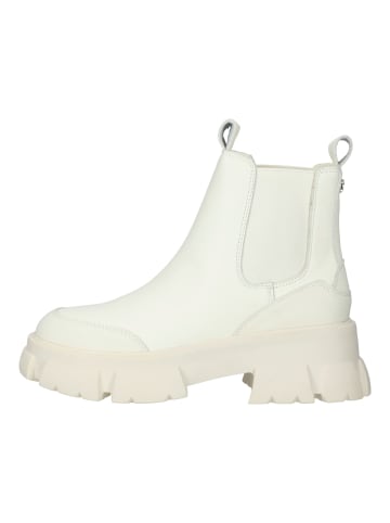 Steve Madden Stiefelette in Bone