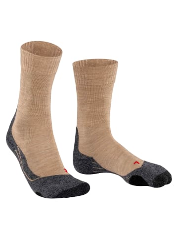 Falke Socken 1er Pack in Sand (4100)