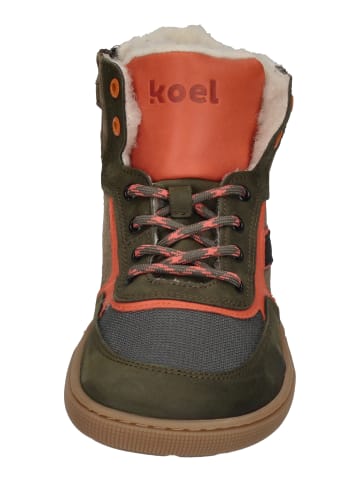 KOEL Sneaker High DANISH NAPPA 08M028.302 in bunt