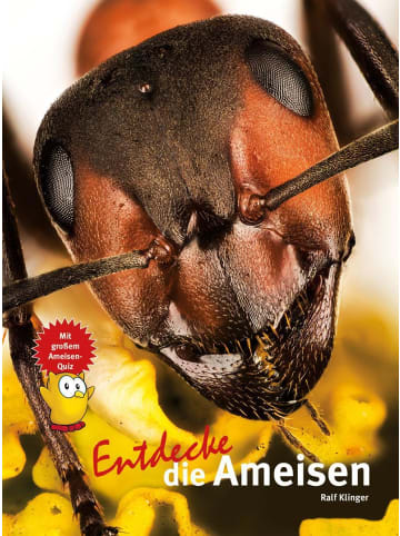 Natur und Tier-Verlag Entdecke die Ameisen