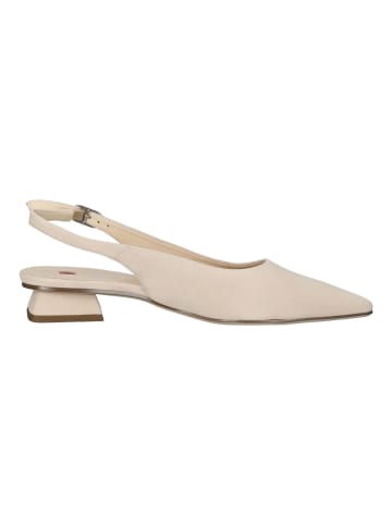 Högl Pumps in Nude