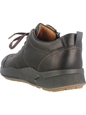 Jomos Freizeit Schnürer für Herren in dunkel-braun