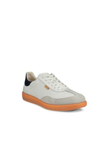 Ecco Sneaker in weiss