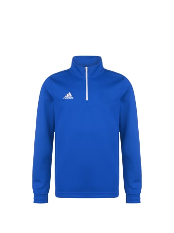 adidas Performance Trainingspullover Entrada 22 in blau