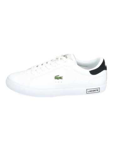 Lacoste Sneaker in Weiß/Schwarz