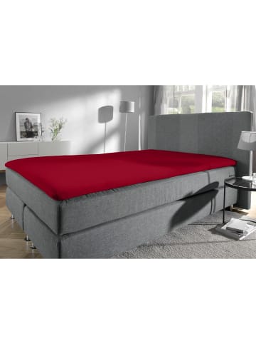 Erwin Müller Frottee Topper-Spannbettlaken Füssen in bordeaux