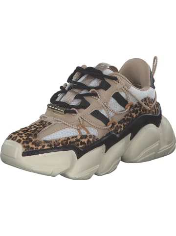 Steve Madden Schnürschuhe in leopard multi
