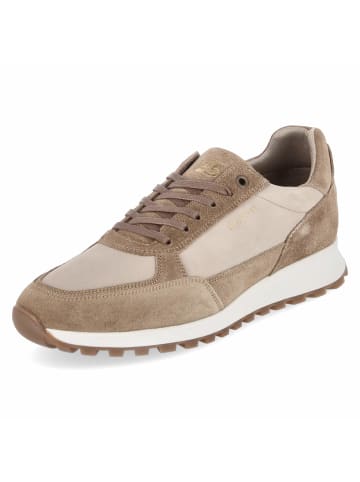 Bullboxer Low Sneaker in beige