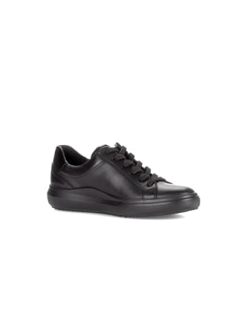 Gabor Sneaker low in schwarz