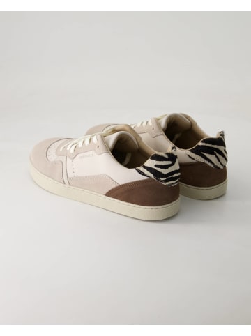 Groundies Sneaker low in Grau