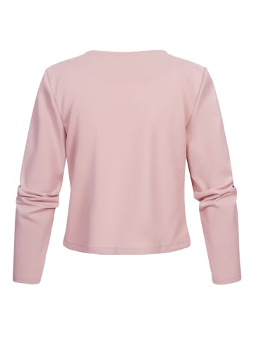 Cloud5ive Blazers in rose