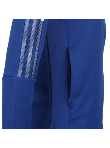 adidas Performance Trainingsjacke Tiro 21 in blau / weiß