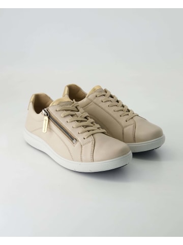 Josef Seibel Klassische Schnürschuhe in Beige