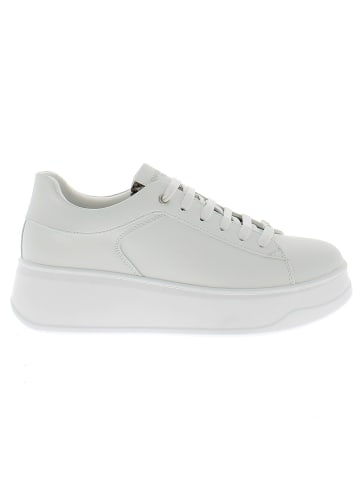 Armata di Mare Sneaker AMDS61H36-STRWHTROCK Weiß