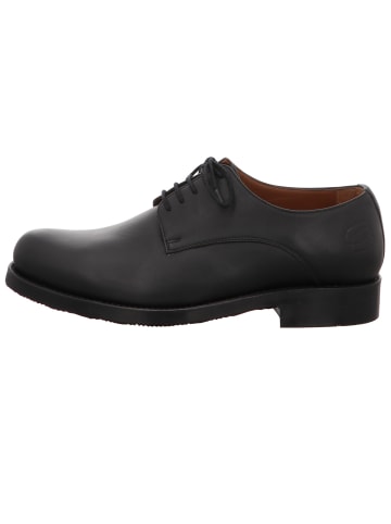 Beeck Schnürschuh in schwarz