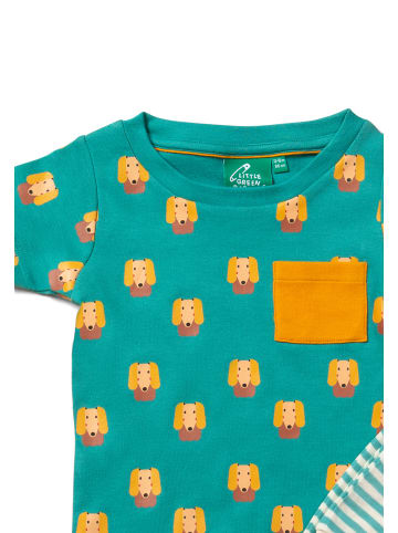 Little Green Radicals Bio-T-Shirt & Jogger-Spielset in Grün
