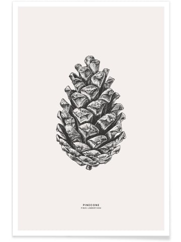 Juniqe Poster "Pinecone" in Cremeweiß & Grau