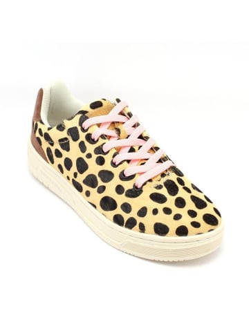 Scotch & Soda Mehrfarbig Leder Low Top Sneaker