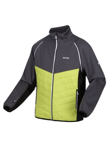 Regatta Softshelljacke Steren Hybrid in Lime