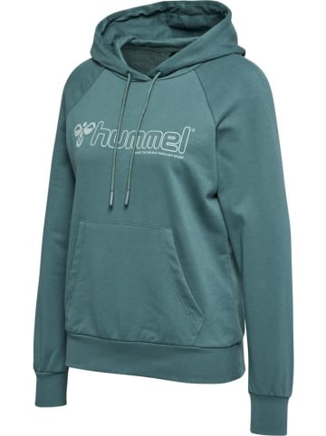 Hummel Hoodie in Blau