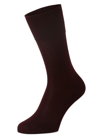 Falke Socken in bordeaux - 0001