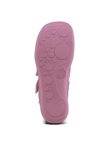 Affenzahn Klettschuh Otter Buddy in Rosa