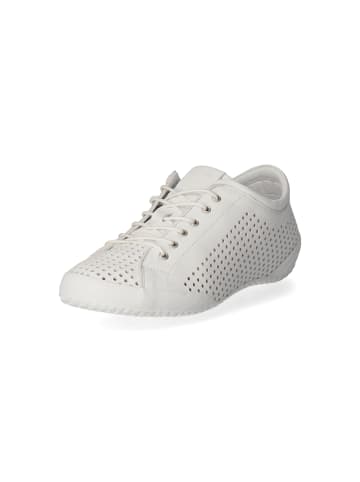 Andrea Conti Schnürhalbschuh in white