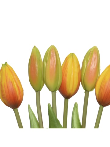 MARELIDA Tulpenbund mit 6 Blüten in orange - H: 40cm