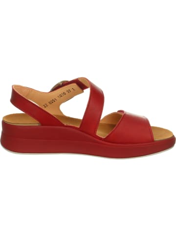 Think! Sandalette in rot