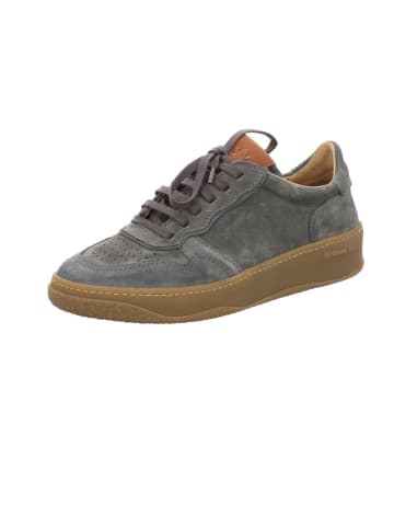 El Naturalista Sneaker in grau