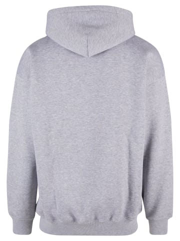 HOMEBOY HOMEBOY Kapuzenpullover in grey