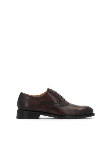Schnürschuhe in Braun