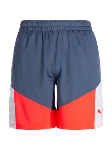 Puma Trainingsshorts individualCUP in blau / rot