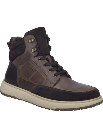 Josef Seibel Stiefelette Clayton 50 in braun