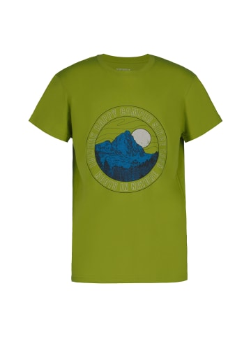 Icepeak T-Shirt in Grün