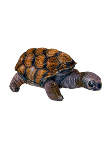 Coppenrath Kuscheltier Schildkröte - Nature Zoom Wild