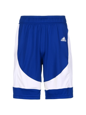 adidas Performance Trainingsshorts N3XT L3V3L Prime Game in dunkelblau / weiß