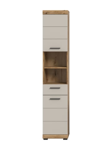 ebuy24 Hochschrank Scout Kaschmir 37 x 31 cm
