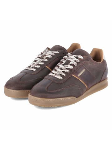 Low Sneaker in braun