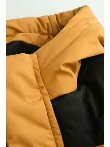 Coccodrillo Winterjacke in honiggelb