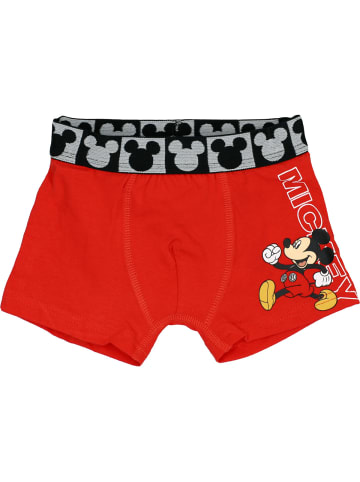 Disney Unterwäsche Minnie Mouse XT in rot